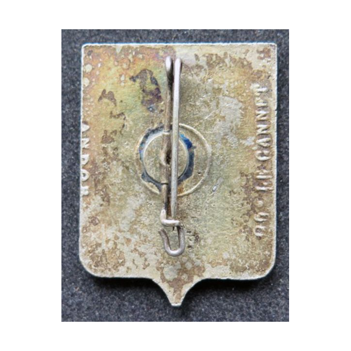 110° Régiment d'infanterie Andor émail croix de Lorraine chardon écu