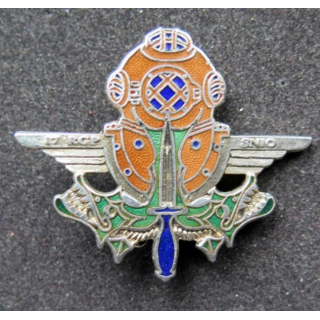 17° RGP : section des nageurs d'intervention offensive SNIO 