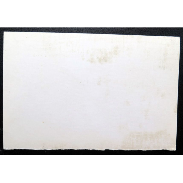 URSS : photo des tankistes de l'armée rouge 18 x 12 cm
