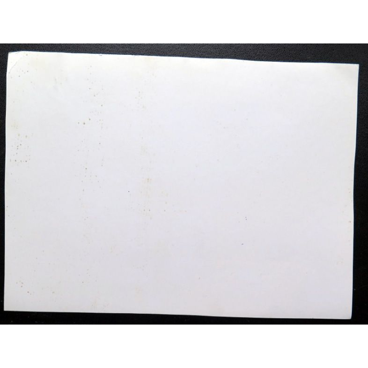 URSS : photo de l'Allemagne capitulée 18 x 13 cm