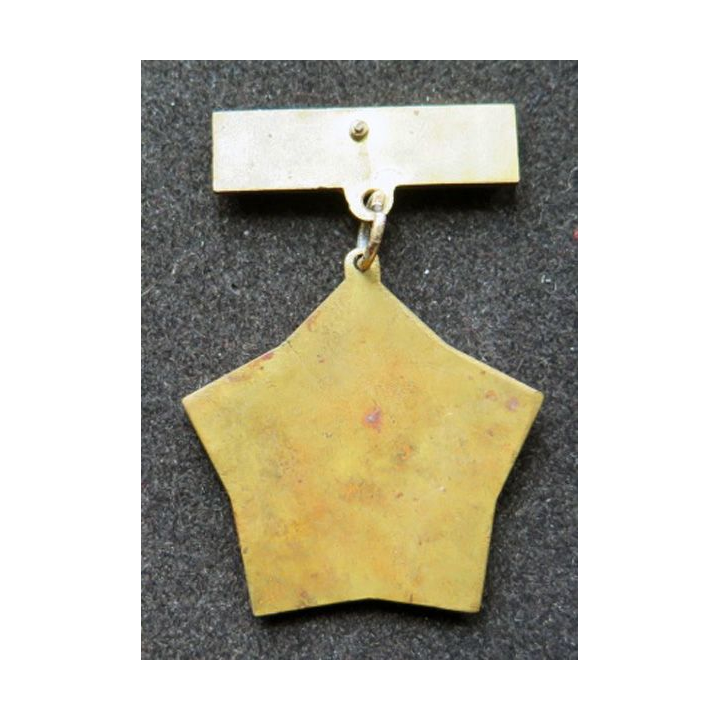 TCHECOSLOVAQUIE : médaille de l'Union de soutien de l'armée tchèque
