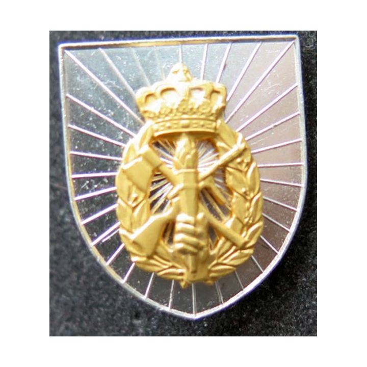 insigne 20 ans de service aux troupes de la défense territoriale