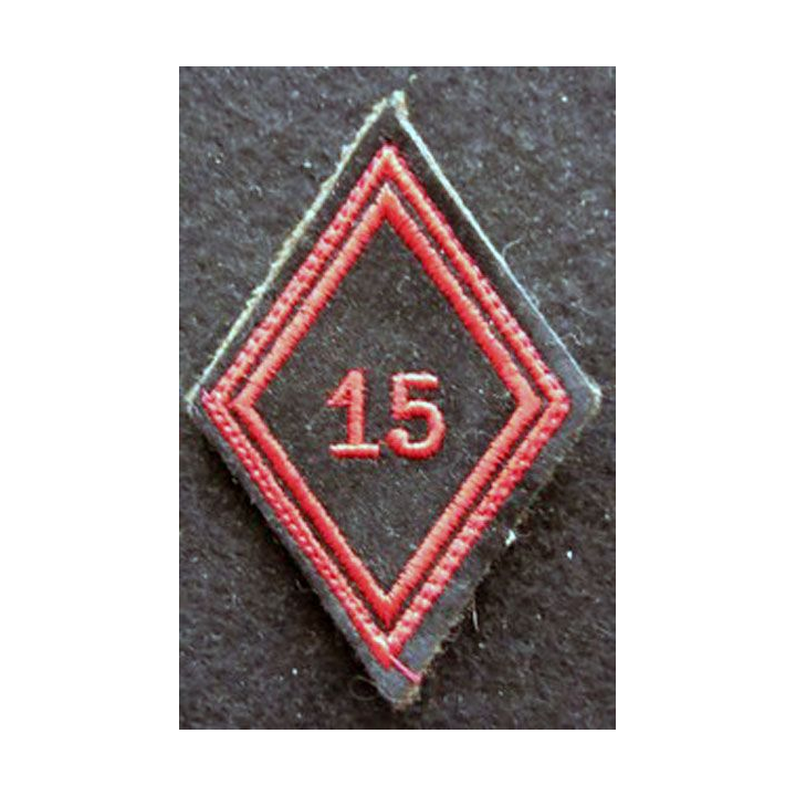 LOSANGE DE BRAS MODÈLE 45 : Ecusson  troupe du 15° régiment de Génie de l'Air