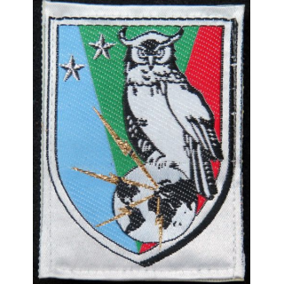 BRENS : insigne tissu de la brigade de renseignement