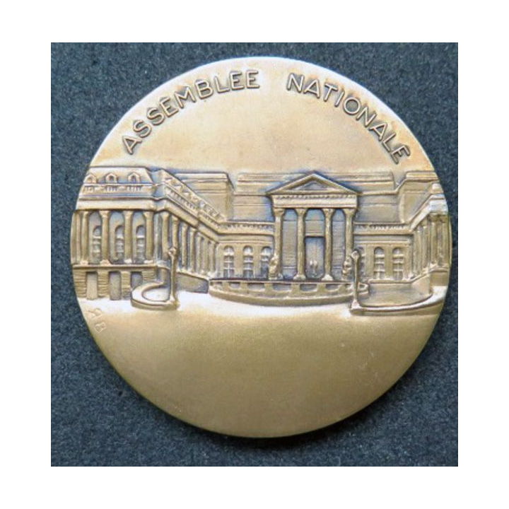 Médaille de l'assemblée nationale française en bronze et en relief diamètre 5 cm