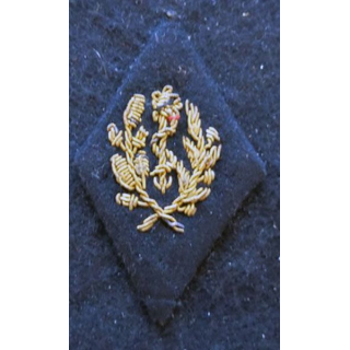 LOSANGE DE BRAS MODÈLE 45 : Ecusson d'infirmière convoyeuse du service de santé militaire1958 en cannetille