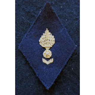 LOSANGE DE BRAS MODÈLE 45 : Ecusson modèle sous officiers PFAT GSEM ancien statut en cannetille