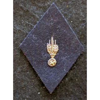 LOSANGE DE BRAS MODÈLE 45 : Ecusson modèle sous officiers PFAT du Recrutement  tenue hiver1958 en cannetille argent