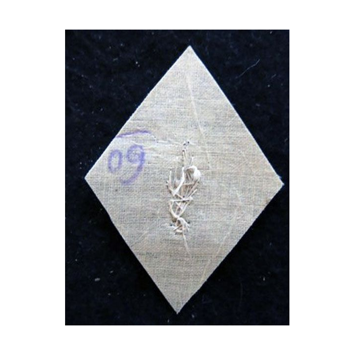 LOSANGE DE BRAS MODÈLE 45 : Ecusson modèle sous officiers PFAT du Recrutement  tenue hiver1958 en cannetille argent