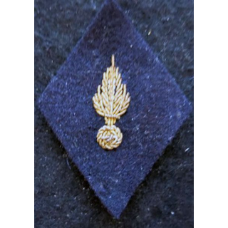 LOSANGE DE BRAS MODÈLE 45 : Ecusson modèle sous officiers PFAT du Recrutement  tenue hiver1958 en cannetille (variante)