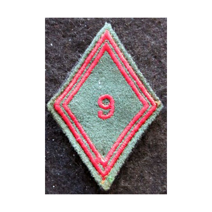 LOSANGE DE BRAS MODÈLE 45 : Ecusson troupe de la 9° compagnie régionale du Train (9° CRT)