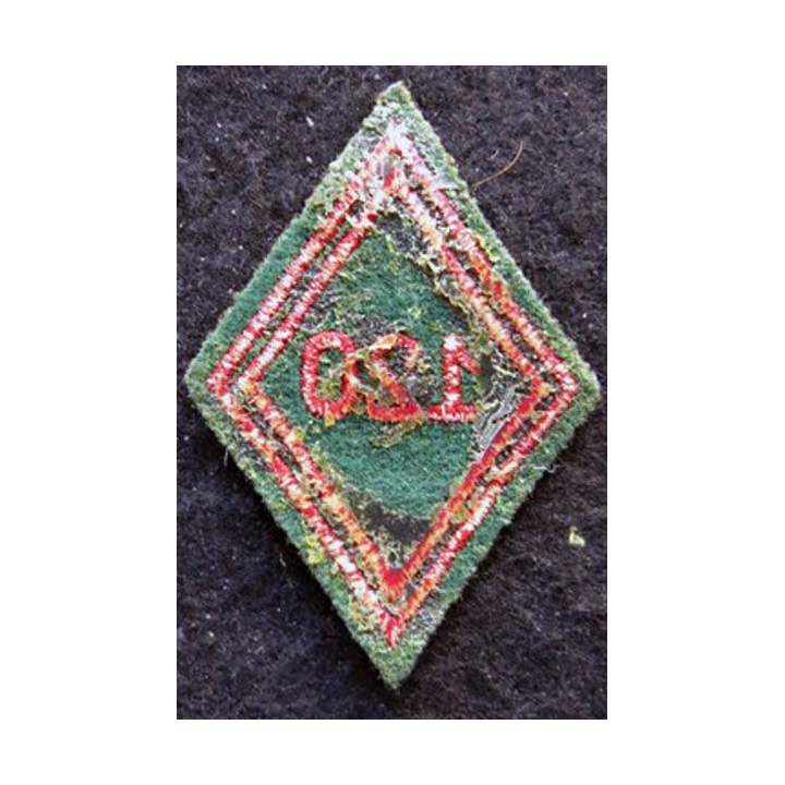 LOSANGE DE BRAS MODÈLE 45 : Ecusson troupe du 120° régiment du Train 1973