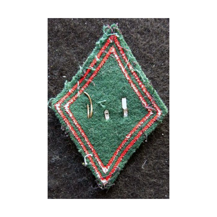 LOSANGE DE BRAS MODÈLE 45 : Ecusson sous officiers du 584° Bataillon du Train ou BMT (584° BT)  Nord Algérois 1961