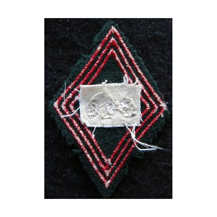 LOSANGE DE BRAS MODÈLE 45 : Ecusson officier du 520° Groupe de Transport (520° GT) Algérie 1946 en cannetille