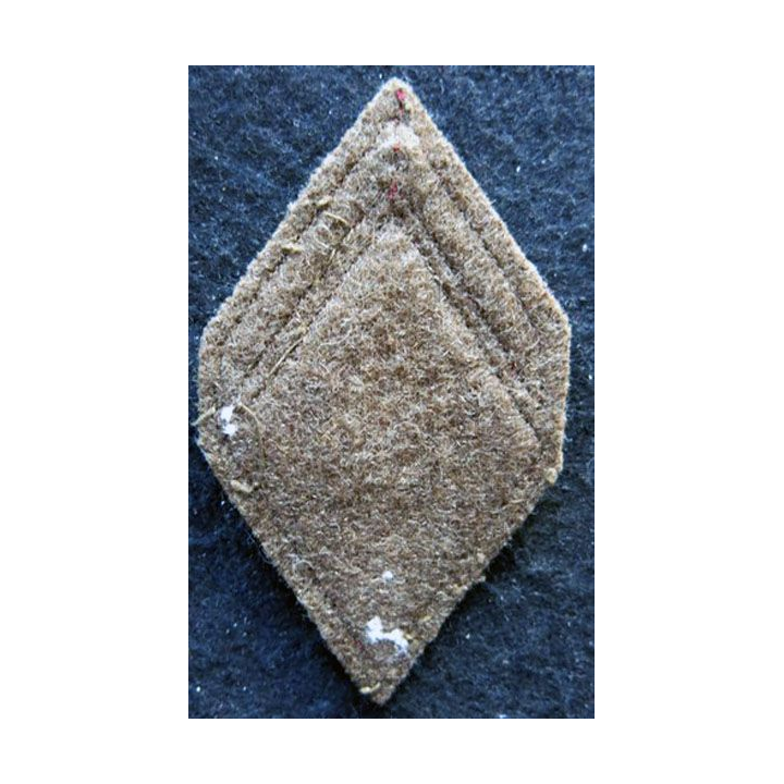 LOSANGE DE BRAS MODÈLE 45 : Ecusson 1° classe du 516° Groupe de Transport (516° GT) INDO 1950