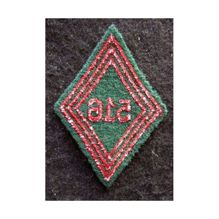 LOSANGE DE BRAS MODÈLE 45 : Ecusson troupe du 516° régiment du Train (516° RT) 1964