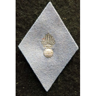 LOSANGE DE BRAS MODÈLE 45 : Ecusson sous officier de l'École d'application de l'arme blindée et de la cavalerie EAABC