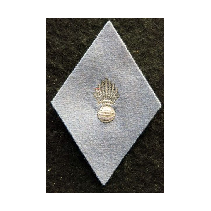 LOSANGE DE BRAS MODÈLE 45 : Ecusson sous officier de l'École d'application de l'arme blindée et de la cavalerie EAABC