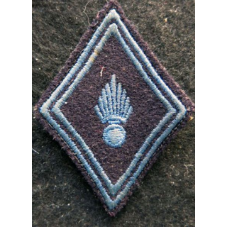 LOSANGE DE BRAS MODÈLE 45 : Ecusson troupe de l'École d'application de l'arme blindée et de la cavalerie EAABC