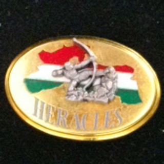 Insigne opération Héraclès Boussemart 2005 A. 1341