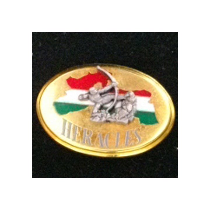 Insigne opération Héraclès Boussemart 2005 A. 1341