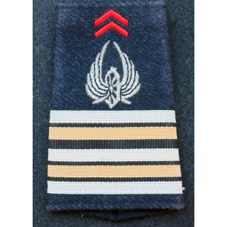 Fourreau d'épaule de Lieutenant Colonel du train