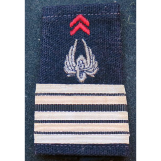 Fourreau d'épaule de Lieutenant Colonel du train