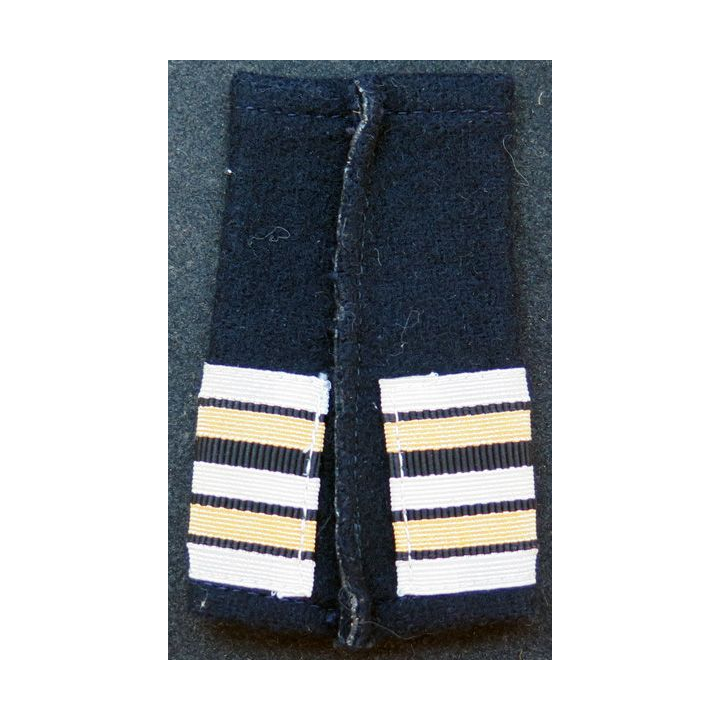 Fourreau d'épaule de Lieutenant Colonel du train