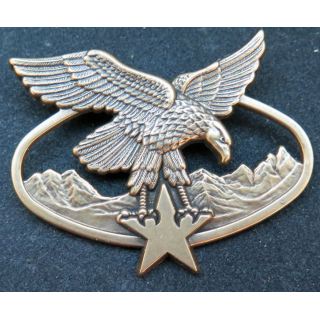 Brevet d'alpiniste ou de skieur militaire avec étoile de fabrication Arthus Bertrand GS. 137