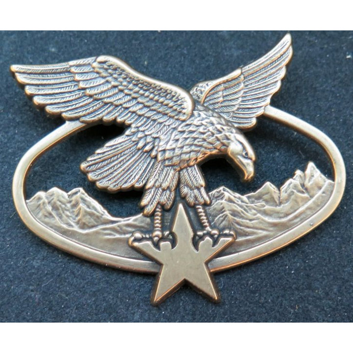 Brevet d'alpiniste ou de skieur militaire avec étoile de fabrication Arthus Bertrand GS. 137