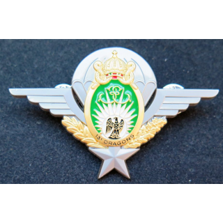 13° RDP : brevet para du 13° régiment  de dragons parachutistes IMC