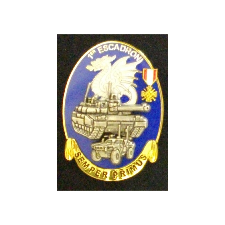 1° escadron du 4° régiment de dragons SEMPER PRIMUS Boussemart 2011