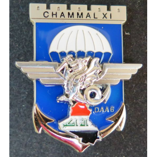 17° RGP 8° RPIMA DAA 6 17° génie para  8° para inf marine Chammal XI 