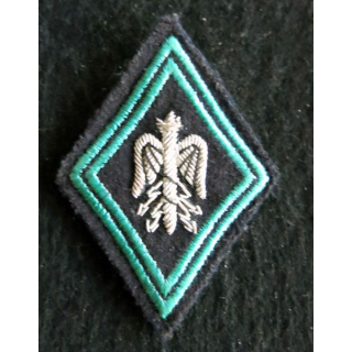 LOSANGE DE BRAS MODÈLE 45 : Ecusson d'officier d'Etat major Char de combat (RCC) en cannetille argent