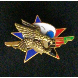 1° RÉGIMENT DE CHASSEURS PARACHUTISTES KAPISA 2011 RCP