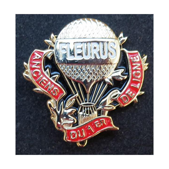 1° RI : insigne des anciens du 1° de ligne Fleurus fabrication Delsart et IMC