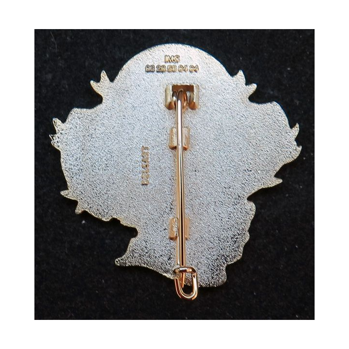1° RI : insigne des anciens du 1° de ligne Fleurus fabrication Delsart et IMC