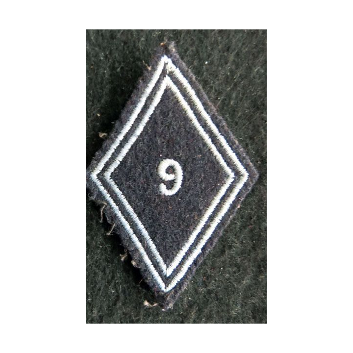 LOSANGE DE BRAS MODÈLE 45 : Ecusson troupe 9° régiment de hussards AFN 1° type