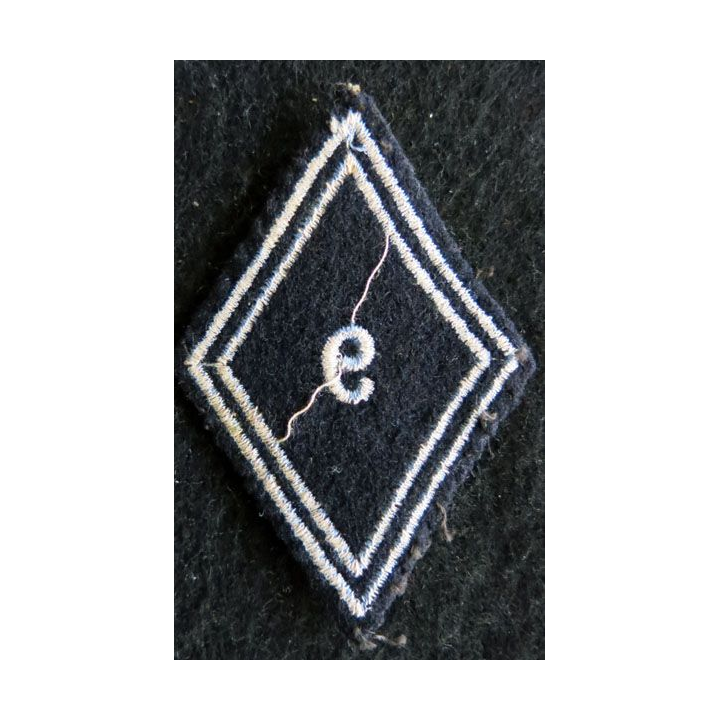 LOSANGE DE BRAS MODÈLE 45 : Ecusson troupe 9° régiment de hussards AFN 1° type