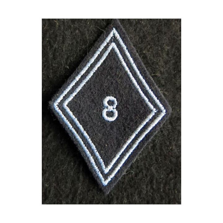 LOSANGE DE BRAS MODÈLE 45 : Ecusson troupe 8° régiment de hussards FFA 2° type