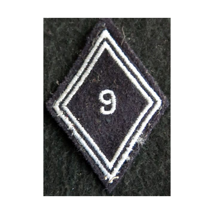 LOSANGE DE BRAS MODÈLE 45 : Ecusson troupe 9° régiment de hussards AFN 1° type