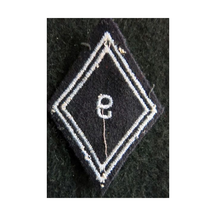 LOSANGE DE BRAS MODÈLE 45 : Ecusson troupe 9° régiment de hussards AFN 1° type