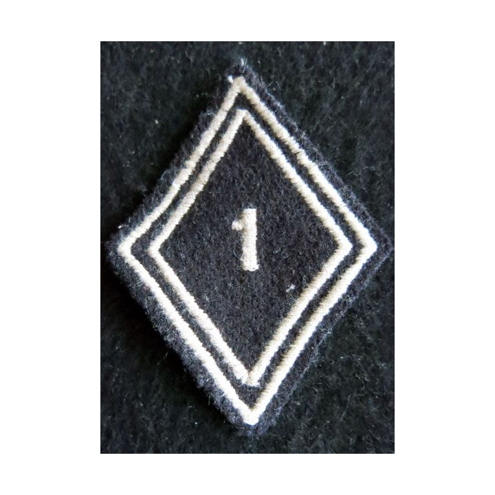 LOSANGE DE BRAS MODÈLE 45 : Ecusson troupe 4° régiment de hussards AFN
