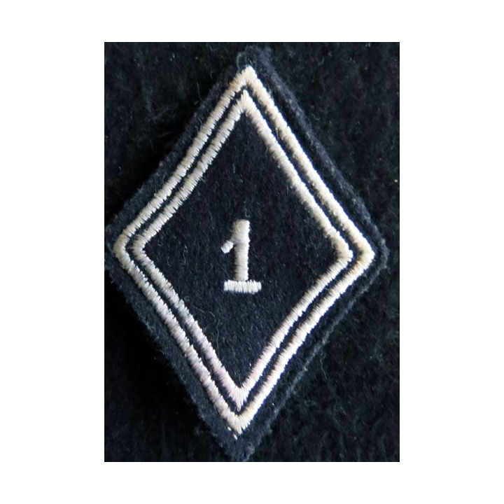 LOSANGE DE BRAS MODÈLE 45 : Ecusson troupe 1° régiment de dragons