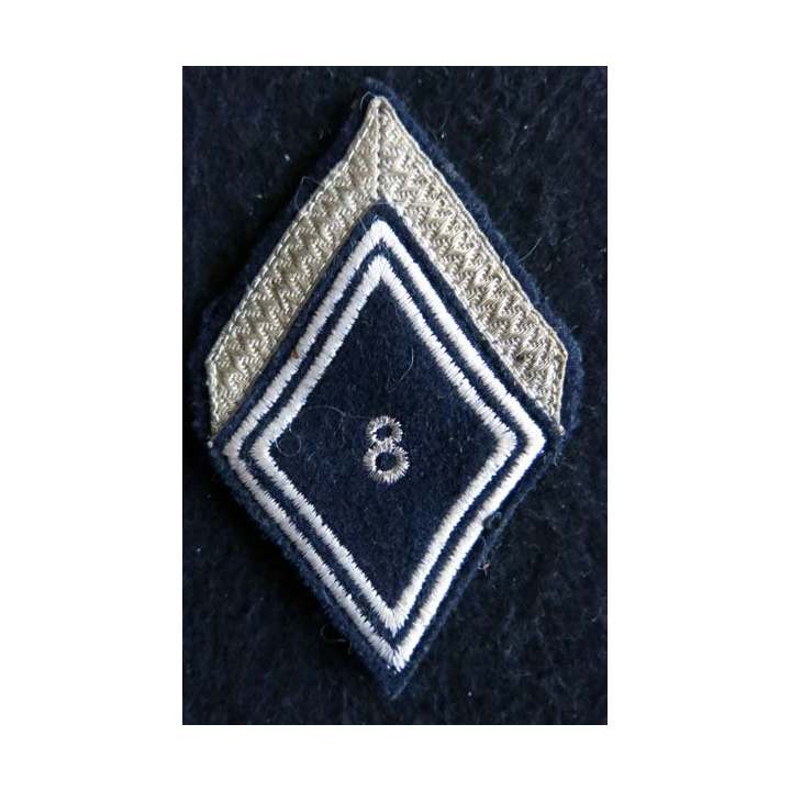 LOSANGE DE BRAS MODÈLE 45 : Ecusson de maréchal des logis du 8° régiment de dragons1970
