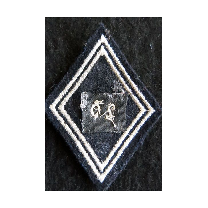 LOSANGE DE BRAS MODÈLE 45 : Ecusson d'officier du 20° régiment de dragons en cannetille argent AFN