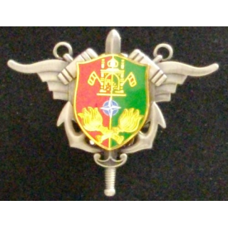 Insigne du service des essences opération Kapisa en Afghanistan Boussemart 2011