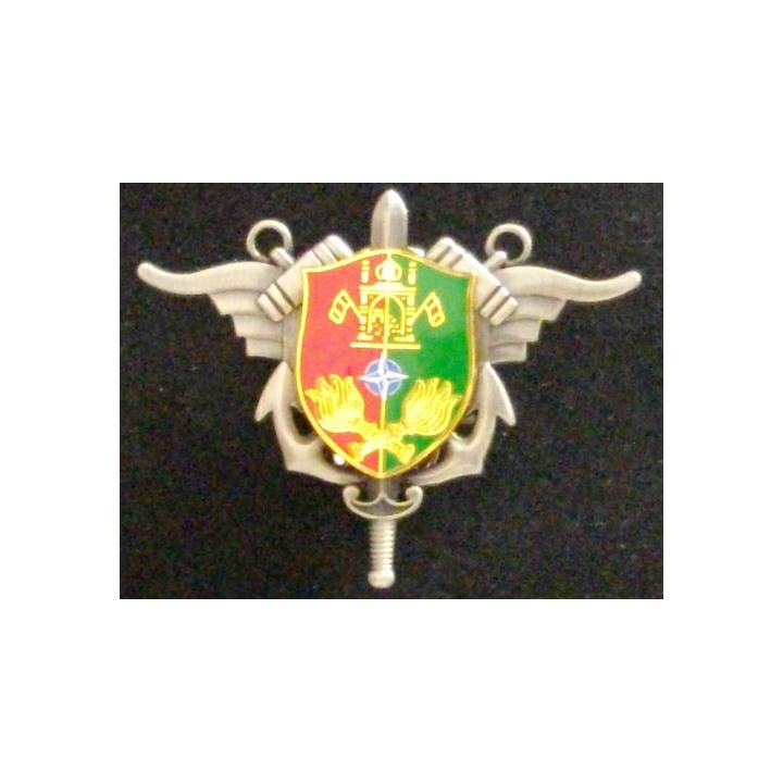 Insigne du service des essences opération Kapisa en Afghanistan Boussemart 2011