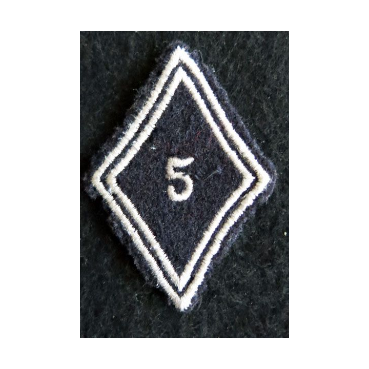 LOSANGE DE BRAS MODÈLE 45 : Ecusson troupe 5° régiment de dragons