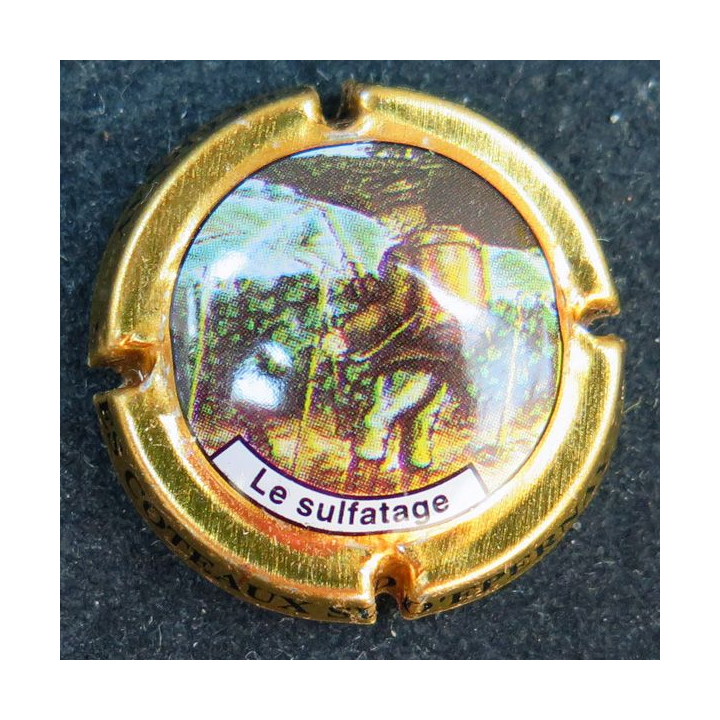 Capsule Muselet de bouteille de champagne Côteaux Sud d'Epernay n° 10 le sulfatage
